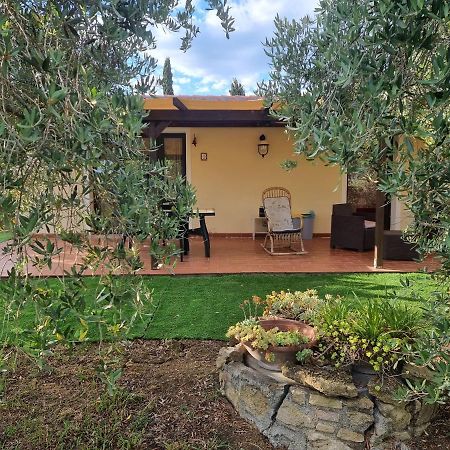 Vigna Lontana Villa Montescudaio Exterior photo