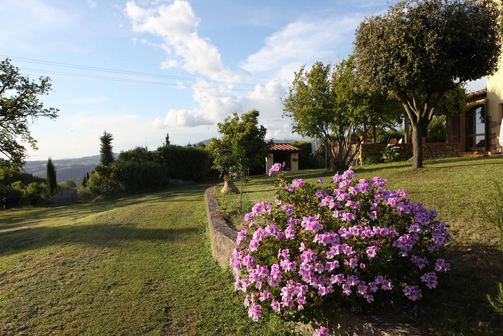Vigna Lontana Villa Montescudaio Exterior photo