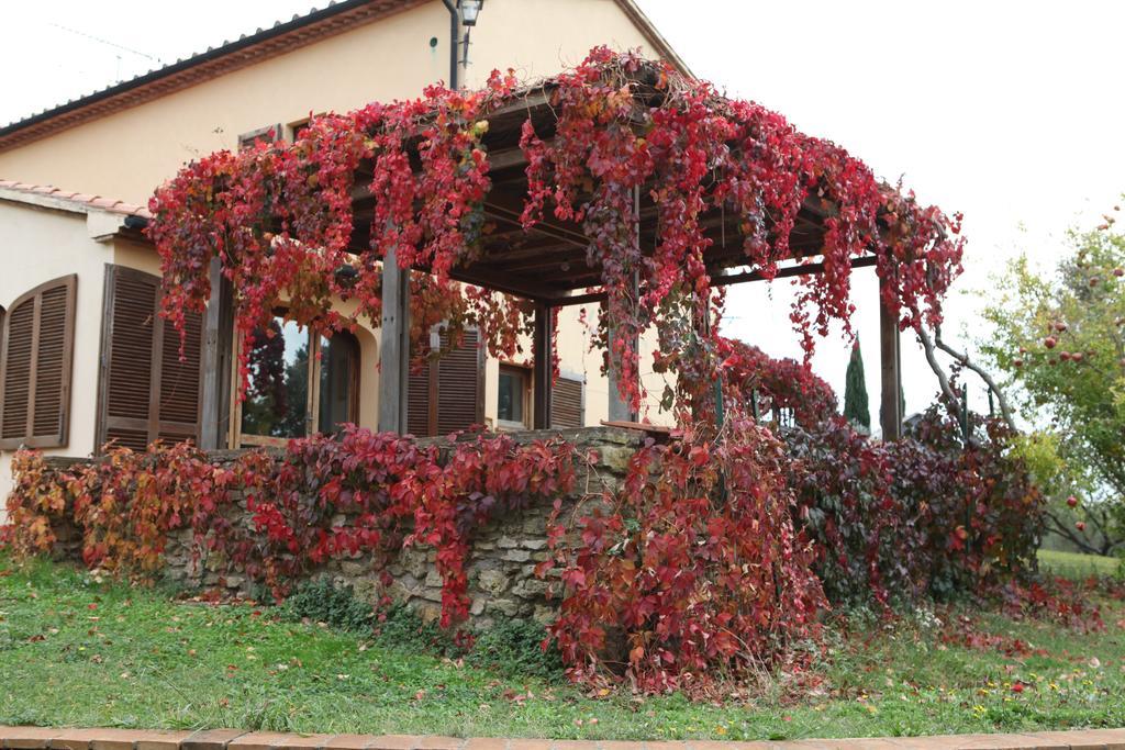 Vigna Lontana Villa Montescudaio Exterior photo