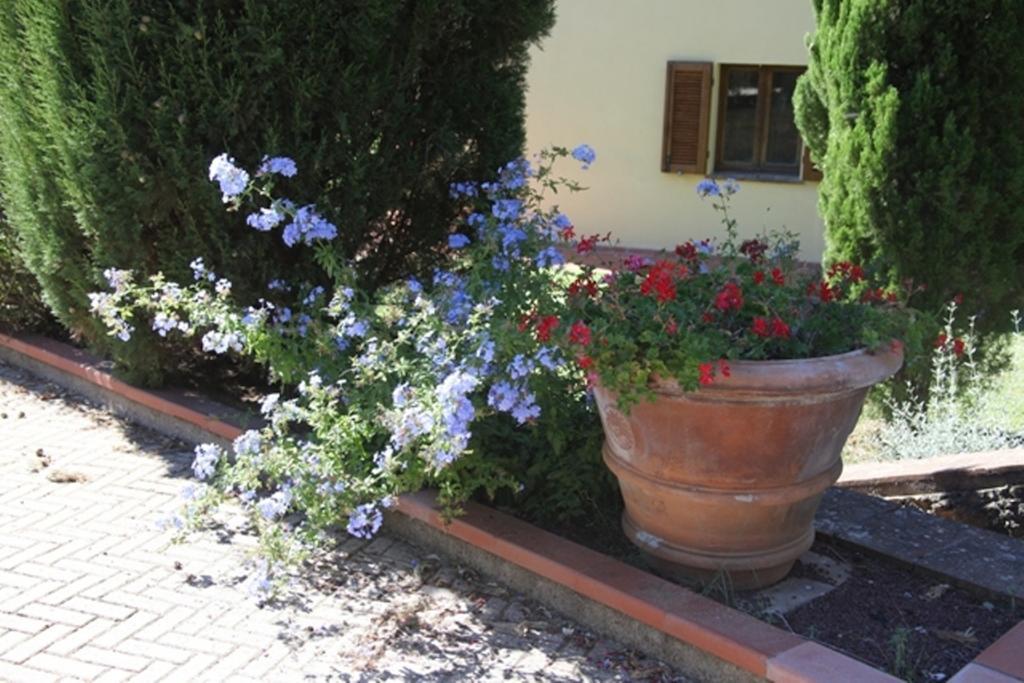 Vigna Lontana Villa Montescudaio Exterior photo